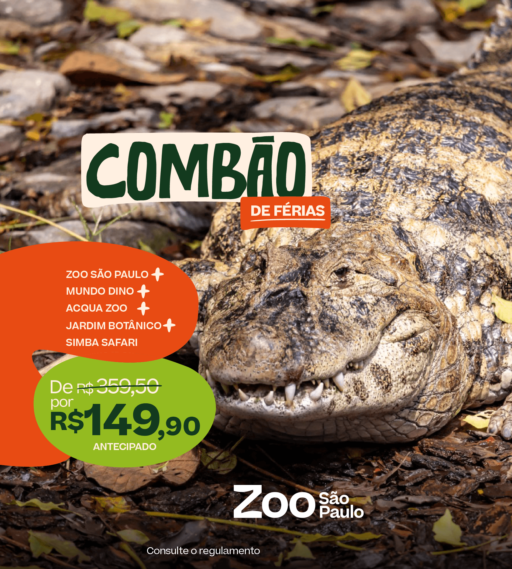 Combão de Férias Simba